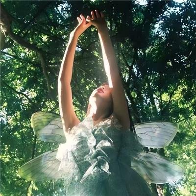 白月无光哭声苦